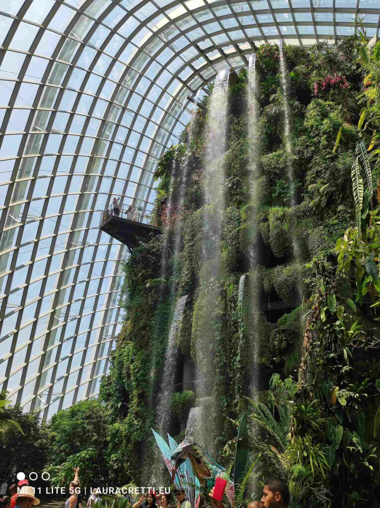 Cloud forest - waterfall Singapore