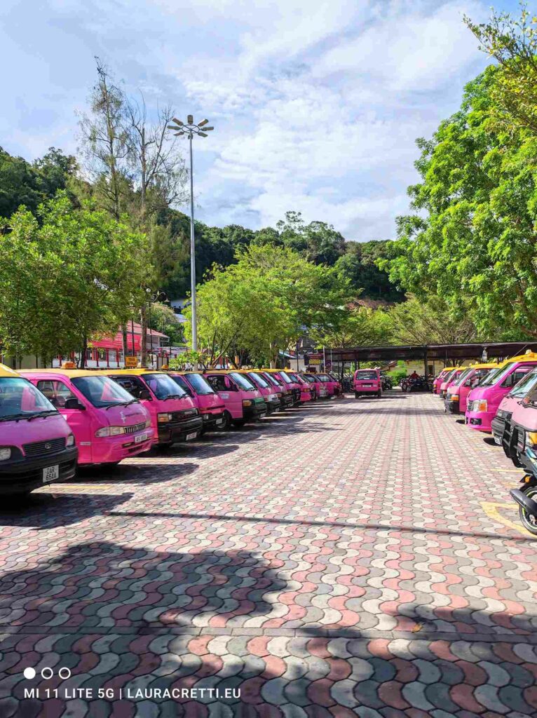 Pangkor jetty pink buses